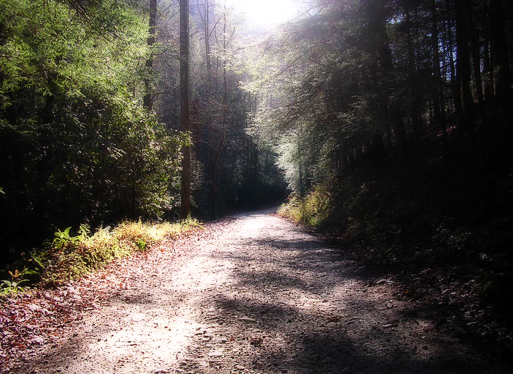 Coopers Creek 11/09/04