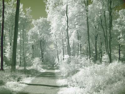 Infra Red shots
