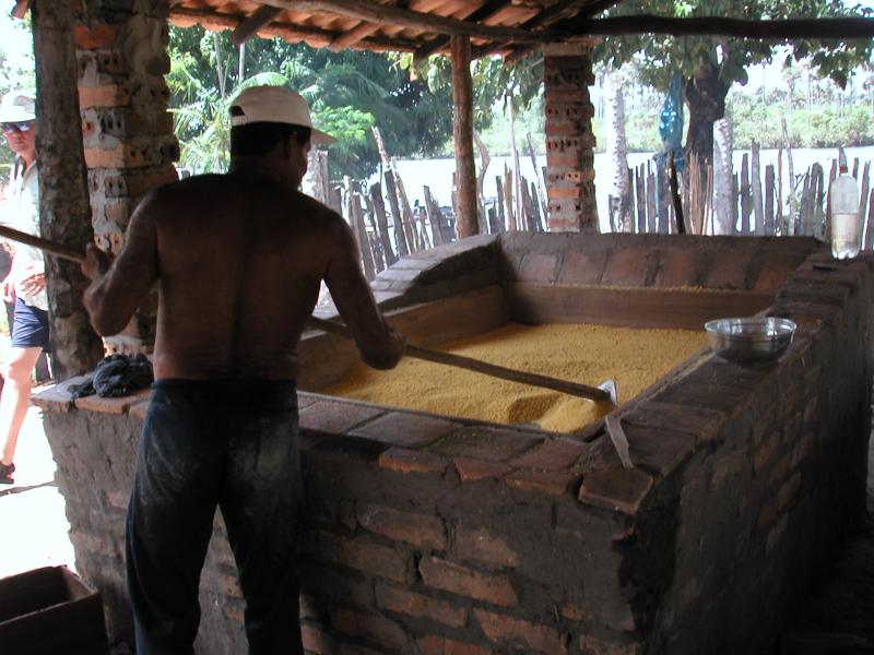 Processing manioc - the Brazilians put this on all of their food