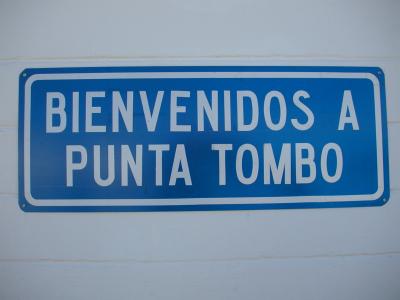 Punta Tombo