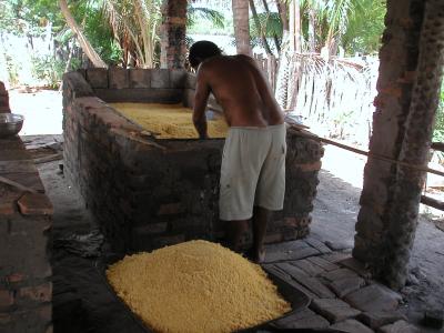Processing manioc - drying it off over a hot plate