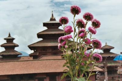 Flowers in Patan's Durbar Square