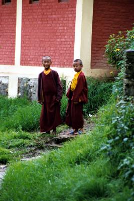 Novice Tibetan Monks, Namobuddha