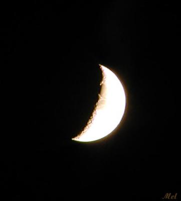 Moon shot1.jpg(381)