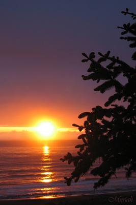 Sunset Blush (05-06-05)