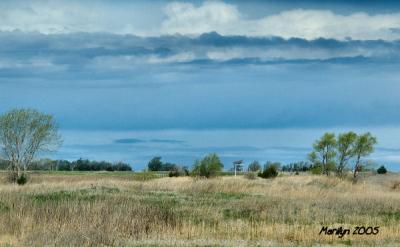 'storm's brewing ... '