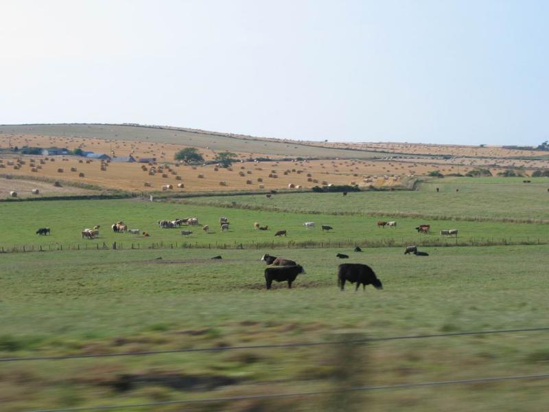 img_20030808_002.jpg