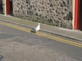 img_20030808_014.jpg