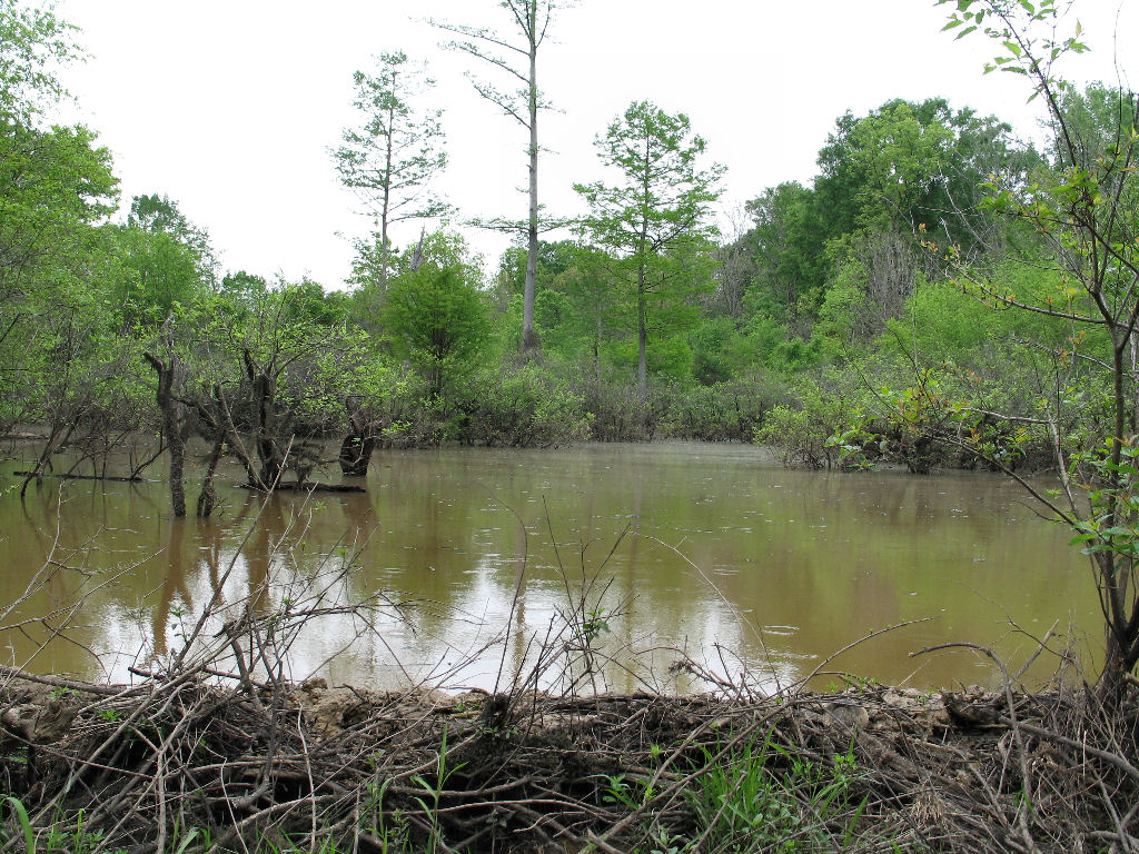Beaver Dam