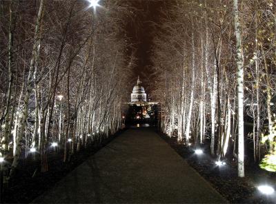 London St. Pauls framed by silver birch trees outside Tate Modern