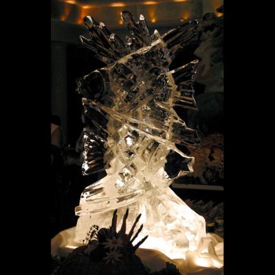 u18/ninadartworks/medium/11910592.AngelFish.jpg