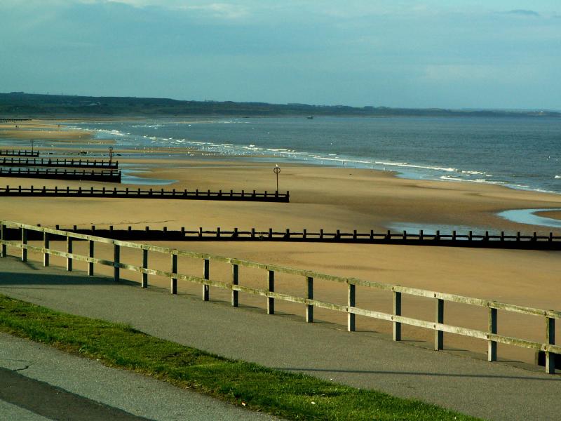PICT0046a.jpg