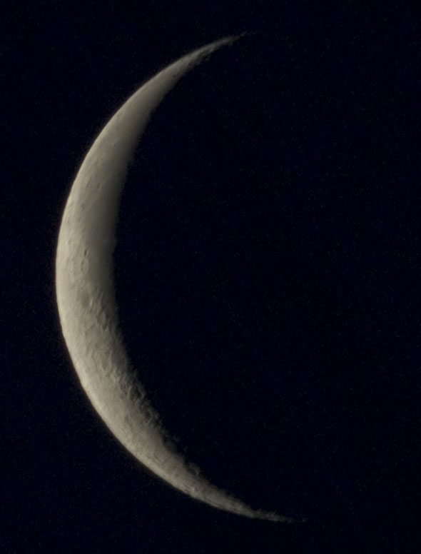 26d 08h