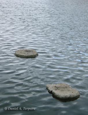 stepping-stone-water.jpg