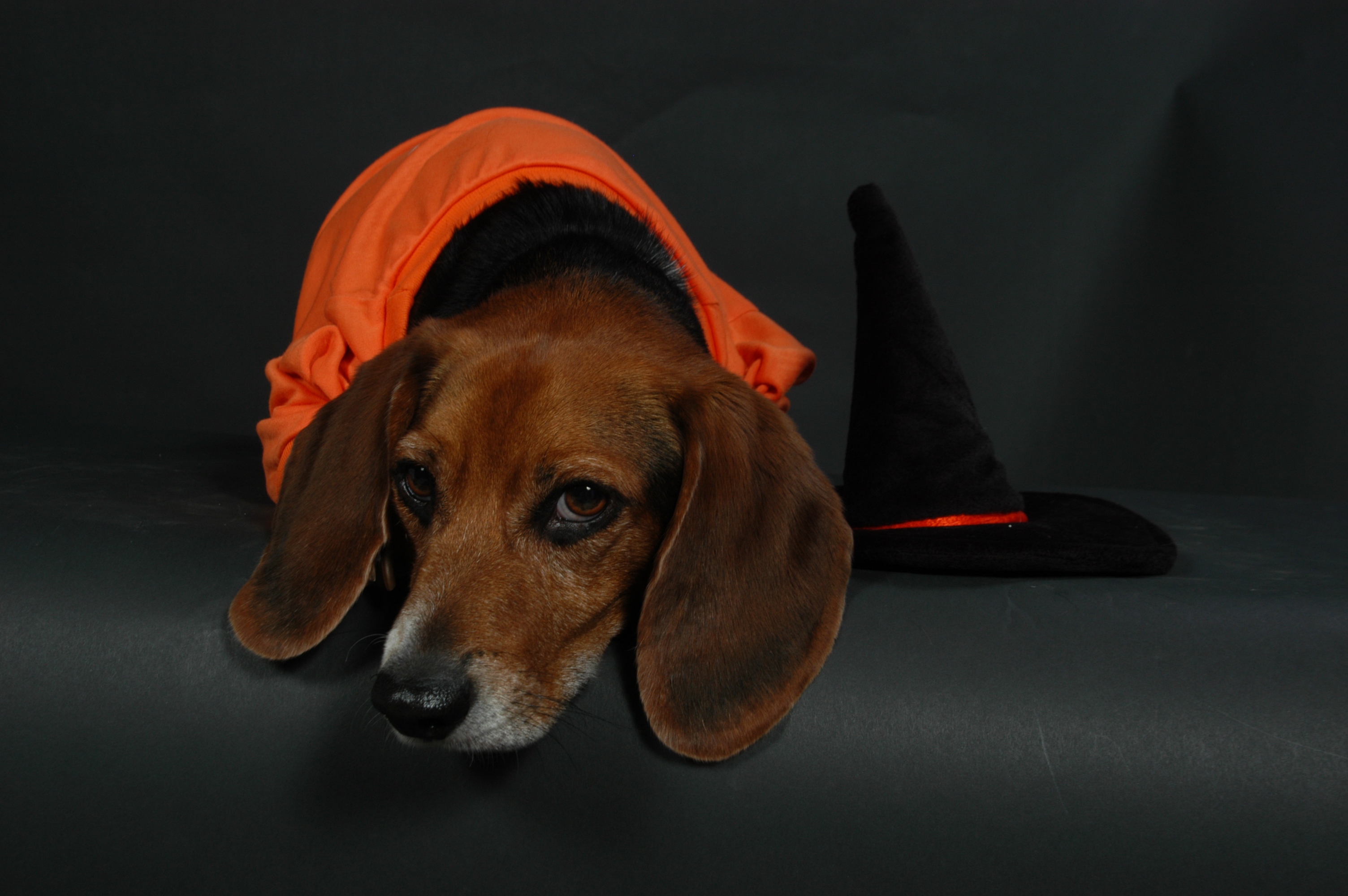 Taking it easy as a witch...