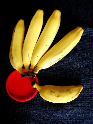 Hand of Bananasby BrianJ