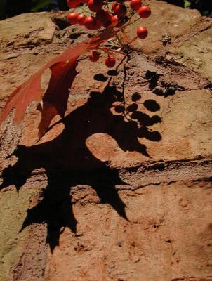 9th PlacePlease Leaf YourShadow at the Gateby MaryB