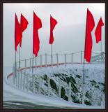 <b>10th Place</b><br>Raising Red Flags<br>by RichardR