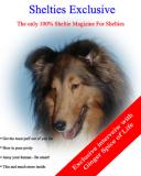 Shelties Exclusive<br>by Dogcrazy