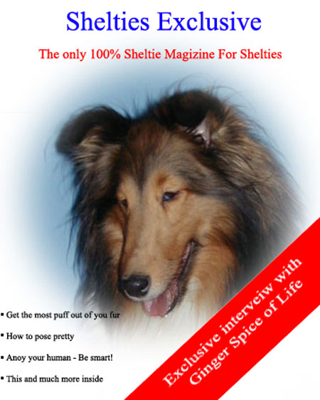 Shelties Exclusive<br>by Dogcrazy