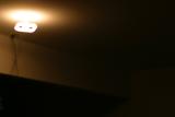 IMG_8221.JPG