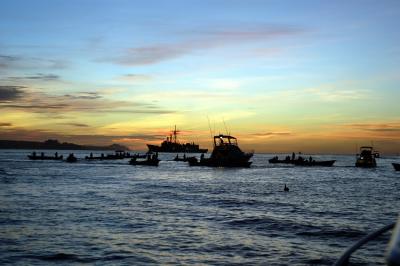 Early AM Fishing --Getting the Bait Fish