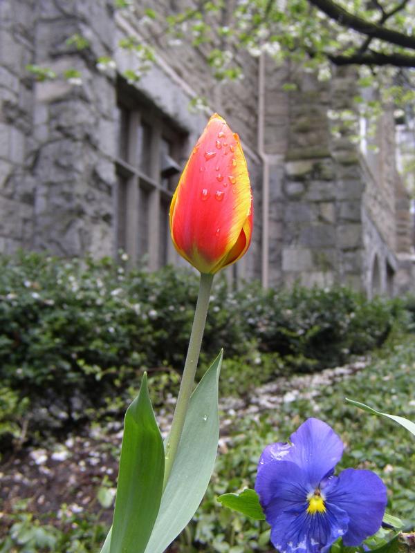 P4160040.jpg
