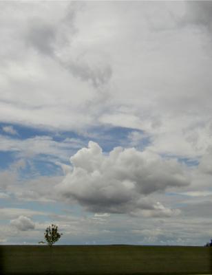 P8220056B.jpg