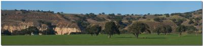 Santa Ynez farm