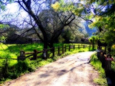 Napa - Another great shot, edited to look like painting