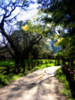 Clearlake & Napa Trip Photos