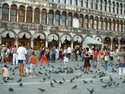 More People and Pigeons