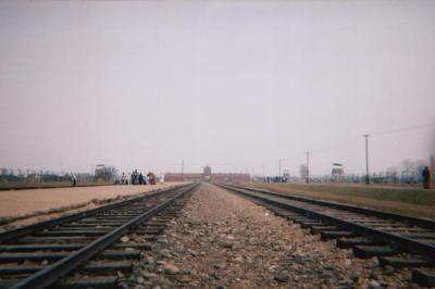 The railroad track looking towards the gate of Auschwitz II - Birkenau
