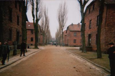 Walking trough the Barricks in Auschwitz I
