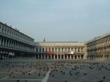 Piazza San Marco w/ loads and loads of Pigeons
