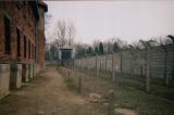 Fences in Auschwitz I