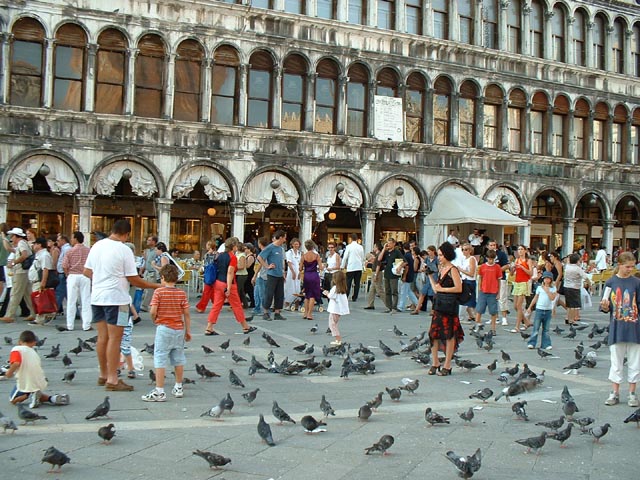 More People and Pigeons