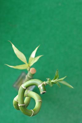 All green - Third  (itev)