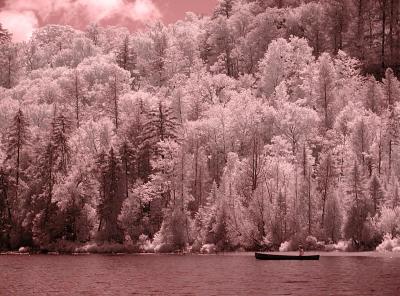 Canoeing by the shore