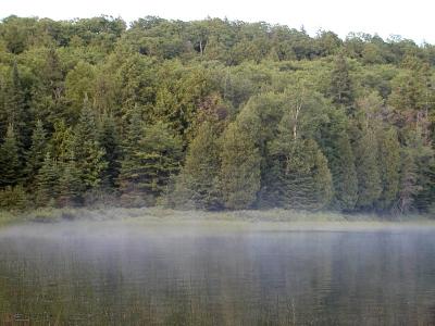 Misty lake