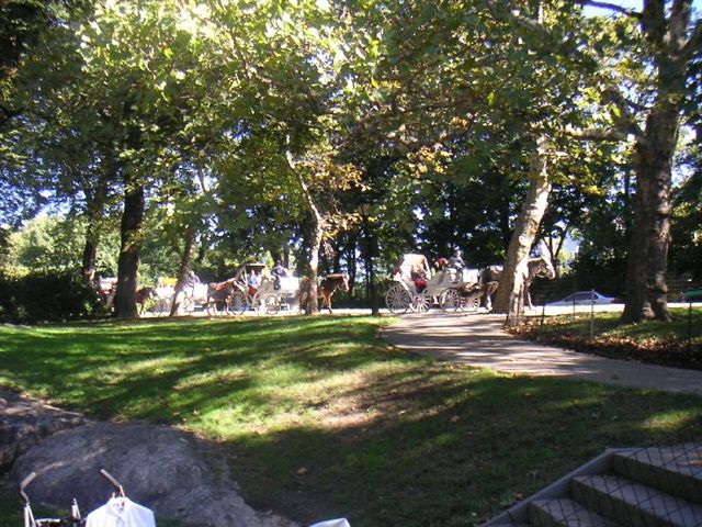Central Park