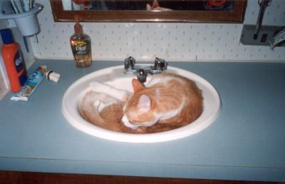 Fletcher in his bathtub...