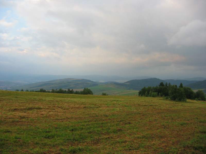 139-3978_IMG.JPG