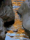 Liquid Gold, Oak Creek Canyon, Sedona, Arizona, 2005