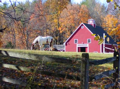 HorseAndBarn#2.jpg