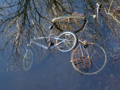 BicyclesWithReflection.jpg