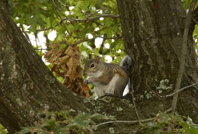 DSC_0024.jpg