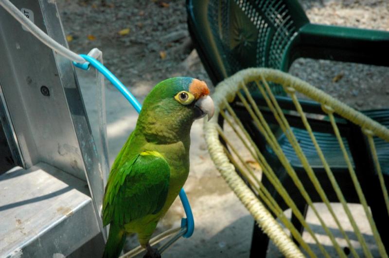 PC-DSC_4911.jpg