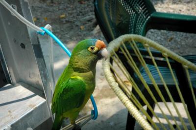 PC-DSC_4911.jpg