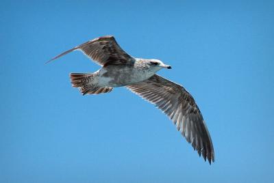 PC-DSC_5457.jpg